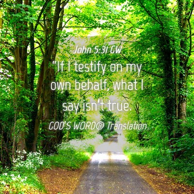 Picture 04 - John 5:31 GW - “If I testify on my own behalf, what I say - Bible Verse Picture