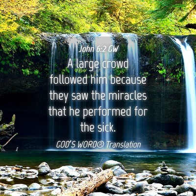Picture 04 - John 6:2 GW - A large crowd followed him because they saw the - Bible Verse Picture