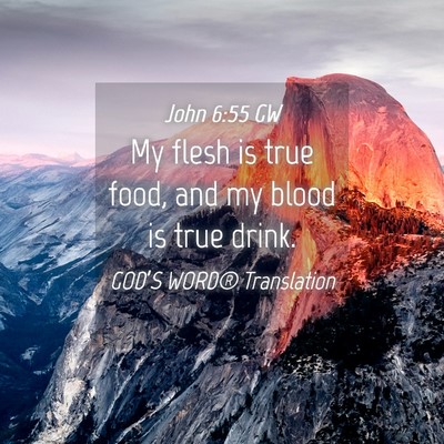 Picture 04 - John 6:55 GW - My flesh is true food, and my blood is true - Bible Verse Picture