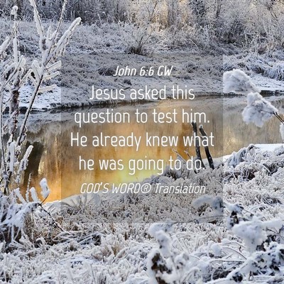 Picture 04 - John 6:6 GW - Jesus asked this question to test him. He already - Bible Verse Picture