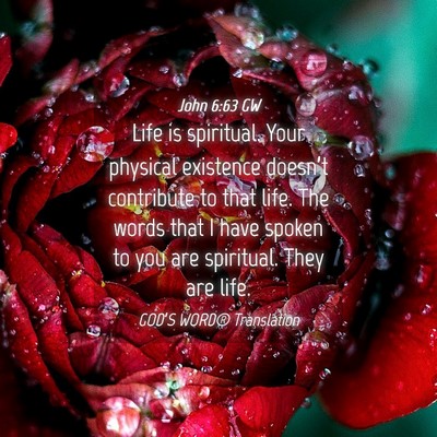 Picture 04 - John 6:63 GW - Life is spiritual. Your physical existence - Bible Verse Picture