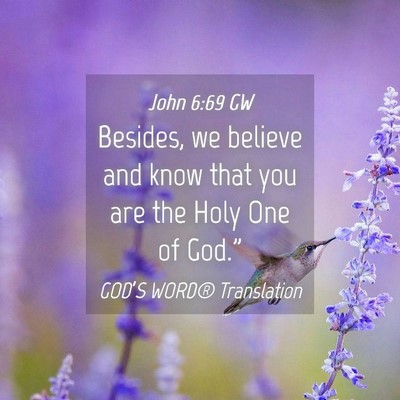 Picture 04 - John 6:69 GW - Besides, we believe and know that you are the - Bible Verse Picture