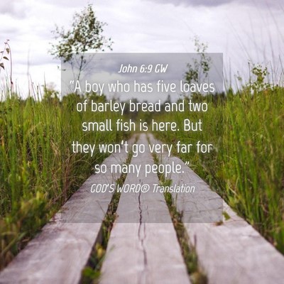Picture 04 - John 6:9 GW - “A boy who has five loaves of barley bread and - Bible Verse Picture