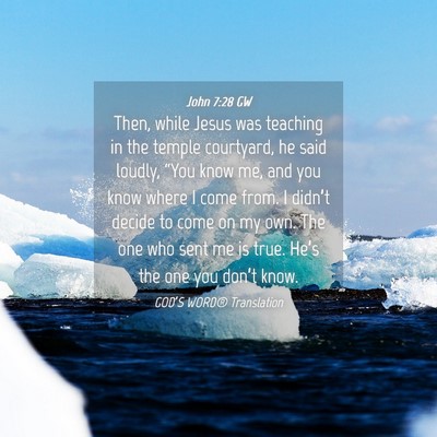 Picture 04 - John 7:28 GW - Then, while Jesus was teaching in the temple - Bible Verse Picture