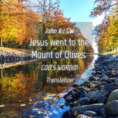 Picture 04 - John 8:1 GW - Jesus went to the Mount of - Bible Verse Picture