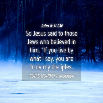 Picture 04 - John 8:31 GW - So Jesus said to those Jews who believed in him, - Bible Verse Picture