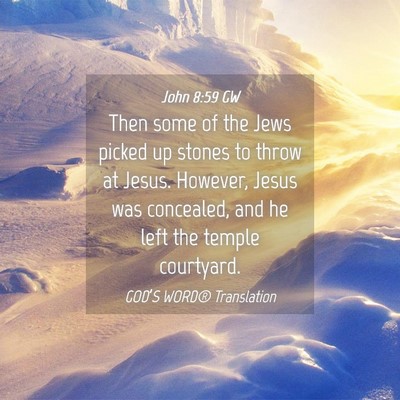 Picture 04 - John 8:59 GW - Then some of the Jews picked up stones to throw - Bible Verse Picture
