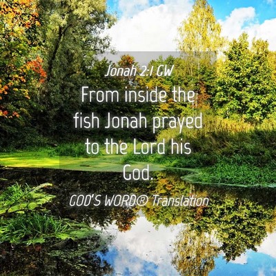 Picture 04 - Jonah 2:1 GW - From inside the fish Jonah prayed to the Lord his - Bible Verse Picture