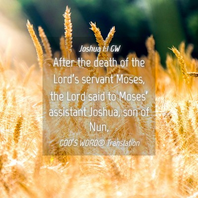 Picture 04 - Joshua 1:1 GW - After the death of the Lord’s servant Moses, - Bible Verse Picture