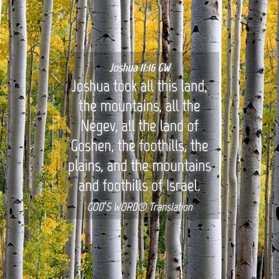 Picture 04 - Joshua 11:16 GW - Joshua took all this land, the mountains, all the - Bible Verse Picture