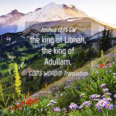 Picture 04 - Joshua 12:15 GW - the king of Libnah, the king of - Bible Verse Picture