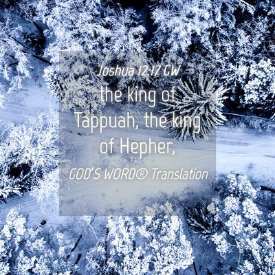 Picture 04 - Joshua 12:17 GW - the king of Tappuah, the king of - Bible Verse Picture