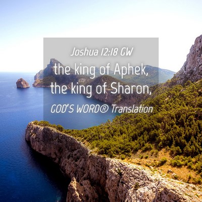 Picture 04 - Joshua 12:18 GW - the king of Aphek, the king of - Bible Verse Picture