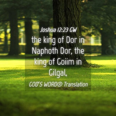 Picture 04 - Joshua 12:23 GW - the king of Dor in Naphoth Dor, the king of Goiim - Bible Verse Picture