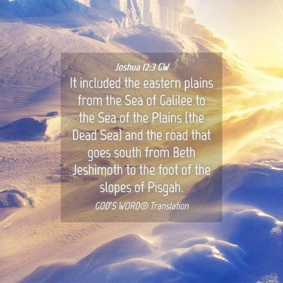 Picture 04 - Joshua 12:3 GW - It included the eastern plains from the Sea of - Bible Verse Picture