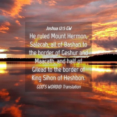 Picture 04 - Joshua 12:5 GW - He ruled Mount Hermon, Salecah, all of Bashan to - Bible Verse Picture