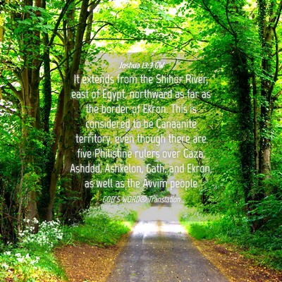 Picture 04 - Joshua 13:3 GW - It extends from the Shihor River, east of Egypt, - Bible Verse Picture