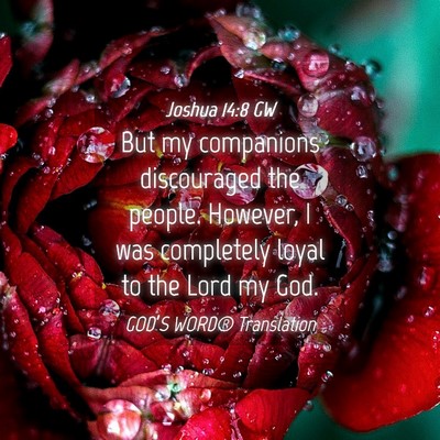 Picture 04 - Joshua 14:8 GW - But my companions discouraged the people. - Bible Verse Picture