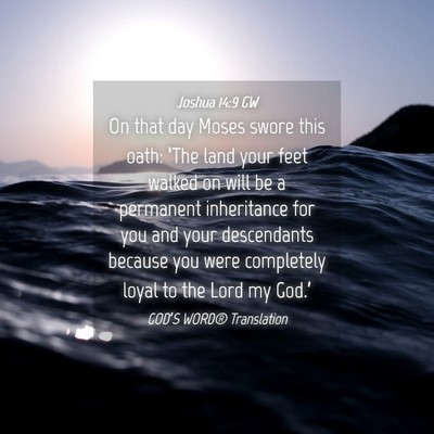 Picture 04 - Joshua 14:9 GW - On that day Moses swore this oath: ‘The land - Bible Verse Picture