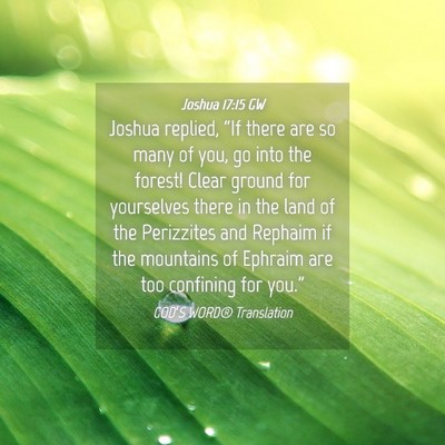 Picture 04 - Joshua 17:15 GW - Joshua replied, “If there are so many of you, - Bible Verse Picture