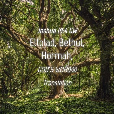 Picture 04 - Joshua 19:4 GW - Eltolad, Bethul, - Bible Verse Picture