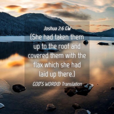 Picture 04 - Joshua 2:6 GW - (She had taken them up to the roof and covered - Bible Verse Picture