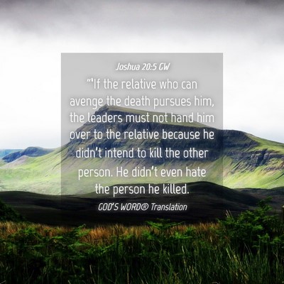 Picture 04 - Joshua 20:5 GW - “‘If the relative who can avenge the death - Bible Verse Picture