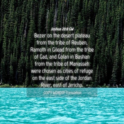 Picture 04 - Joshua 20:8 GW - Bezer on the desert plateau from the tribe of - Bible Verse Picture