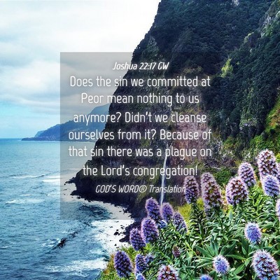 Picture 04 - Joshua 22:17 GW - Does the sin we committed at Peor mean nothing to - Bible Verse Picture