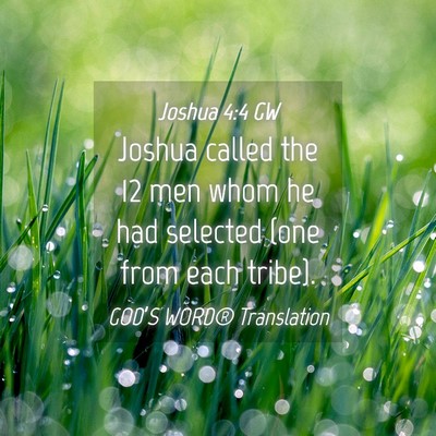 Picture 04 - Joshua 4:4 GW - Joshua called the 12 men whom he had selected - Bible Verse Picture