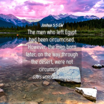 Picture 04 - Joshua 5:5 GW - The men who left Egypt had been circumcised. - Bible Verse Picture