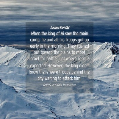 Picture 04 - Joshua 8:14 GW - When the king of Ai saw the main camp, he and all - Bible Verse Picture