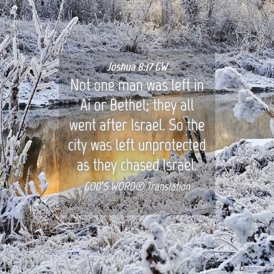 Picture 04 - Joshua 8:17 GW - Not one man was left in Ai or Bethel; they all - Bible Verse Picture