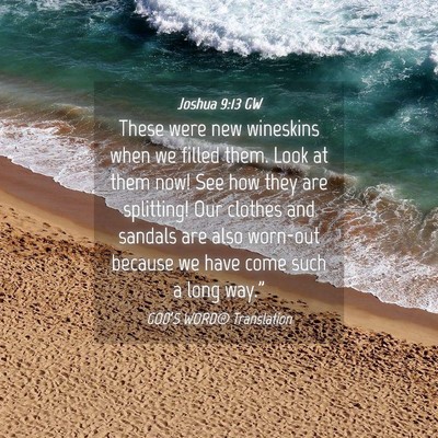 Picture 04 - Joshua 9:13 GW - These were new wineskins when we filled them. - Bible Verse Picture