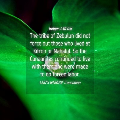 Picture 04 - Judges 1:30 GW - The tribe of Zebulun did not force out those who - Bible Verse Picture