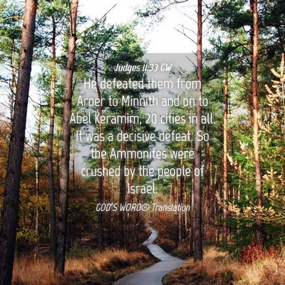 Picture 04 - Judges 11:33 GW - He defeated them from Aroer to Minnith and on to - Bible Verse Picture