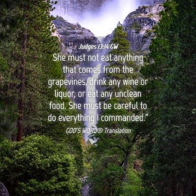 Picture 04 - Judges 13:14 GW - She must not eat anything that comes from the - Bible Verse Picture