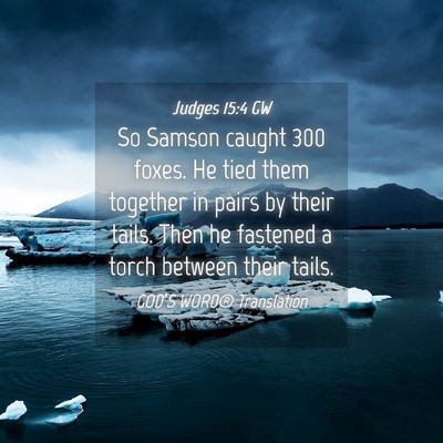 Picture 04 - Judges 15:4 GW - So Samson caught 300 foxes. He tied them together - Bible Verse Picture