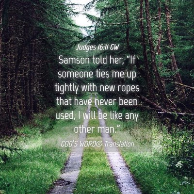 Picture 04 - Judges 16:11 GW - Samson told her, “If someone ties me up tightly - Bible Verse Picture