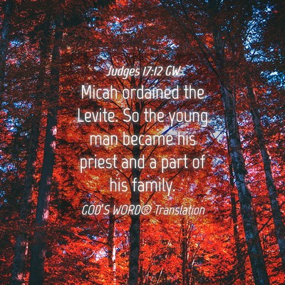Picture 04 - Judges 17:12 GW - Micah ordained the Levite. So the young man - Bible Verse Picture