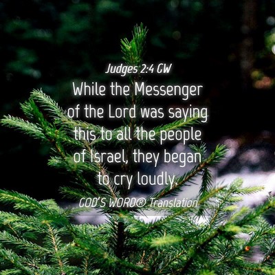 Picture 04 - Judges 2:4 GW - While the Messenger of the Lord was saying this - Bible Verse Picture