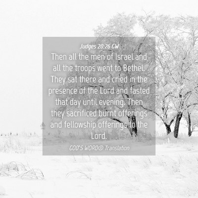 Picture 04 - Judges 20:26 GW - Then all the men of Israel and all the troops - Bible Verse Picture
