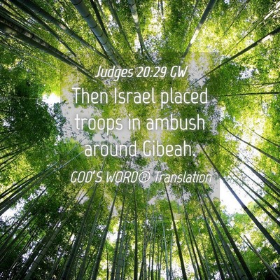 Picture 04 - Judges 20:29 GW - Then Israel placed troops in ambush around - Bible Verse Picture