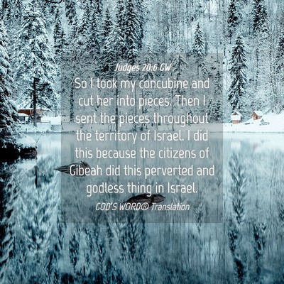 Picture 04 - Judges 20:6 GW - So I took my concubine and cut her into pieces. - Bible Verse Picture