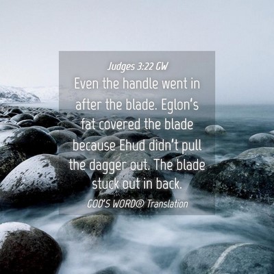 Picture 04 - Judges 3:22 GW - Even the handle went in after the blade. - Bible Verse Picture