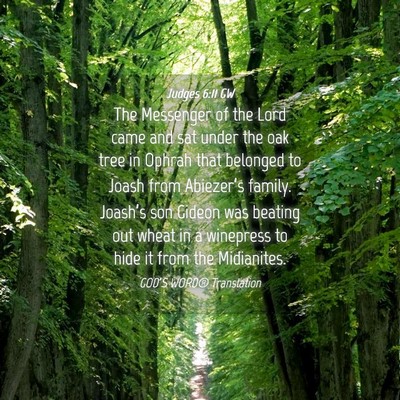Picture 04 - Judges 6:11 GW - The Messenger of the Lord came and sat under the - Bible Verse Picture