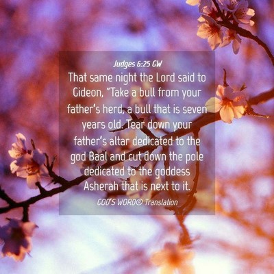 Picture 04 - Judges 6:25 GW - That same night the Lord said to Gideon, “Take - Bible Verse Picture