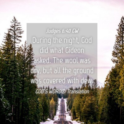 Picture 04 - Judges 6:40 GW - During the night, God did what Gideon asked. The - Bible Verse Picture