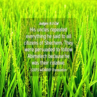 Picture 04 - Judges 9:3 GW - His uncles repeated everything he said to all - Bible Verse Picture