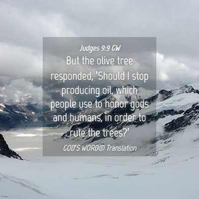 Picture 04 - Judges 9:9 GW - But the olive tree responded, ‘Should I stop - Bible Verse Picture